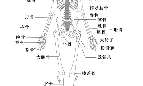 糖尿病人的早期治疗网—知名的糖尿病早期怎么调理能好网站,分享糖尿病早期怎么治疗可以恢复正常知识